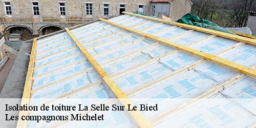 Isolation de toiture  la-selle-sur-le-bied-45210 Les compagnons Michelet