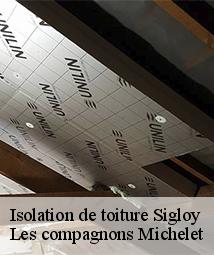 Isolation de toiture  sigloy-45110 Les compagnons Michelet