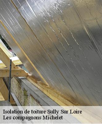 Isolation de toiture  sully-sur-loire-45600 Les compagnons Michelet