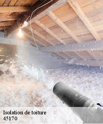 Isolation de toiture  teillay-saint-benoit-45170 Les compagnons Michelet