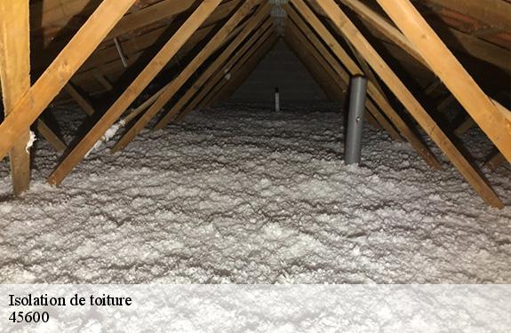 Isolation de toiture 45600