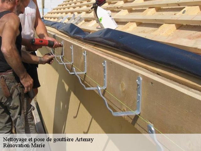 Nettoyage et pose de gouttière  artenay-45410 Rénovation Marie