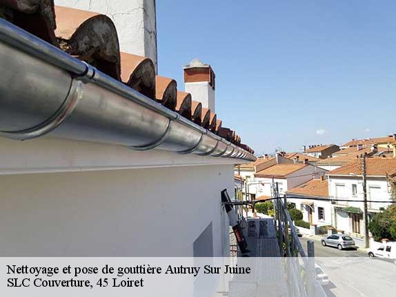 Nettoyage et pose de gouttière  autruy-sur-juine-45480 Rénovation Marie