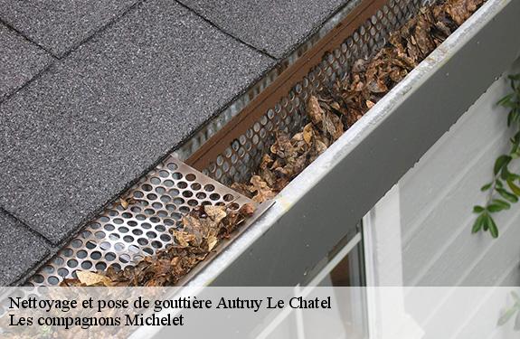 Nettoyage et pose de gouttière 45500