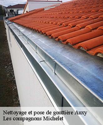 Nettoyage et pose de gouttière  auxy-45340 Les compagnons Michelet