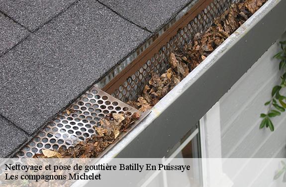 Nettoyage et pose de gouttière  45420