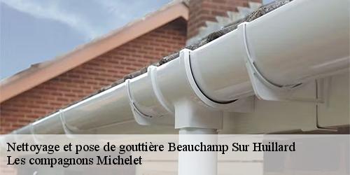 Nettoyage et pose de gouttière  beauchamp-sur-huillard-45270 Les compagnons Michelet