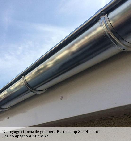 Nettoyage et pose de gouttière  beauchamp-sur-huillard-45270 Les compagnons Michelet