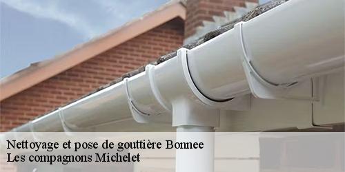 Nettoyage et pose de gouttière  bonnee-45460 Les compagnons Michelet
