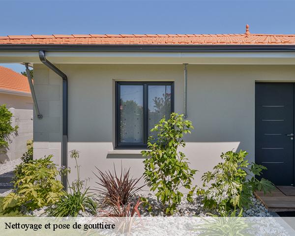 Nettoyage et pose de gouttière  chalette-sur-loing-45120 Les compagnons Michelet