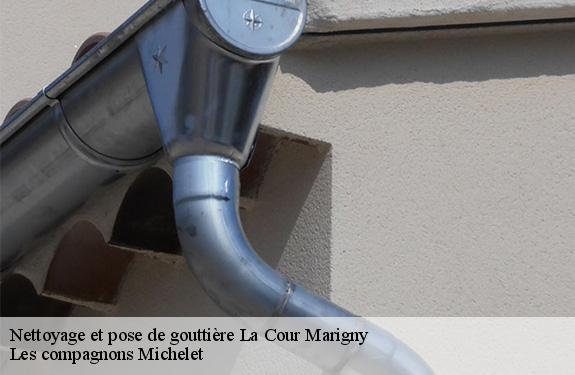 Nettoyage et pose de gouttière la-cour-marigny-45260 Les compagnons Michelet