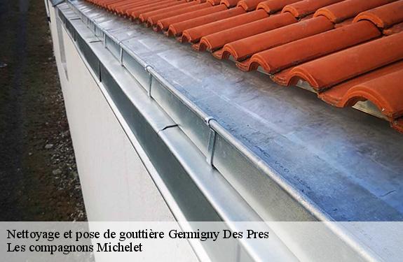 Nettoyage et pose de gouttière  45110