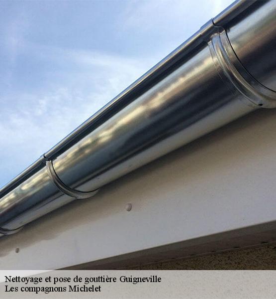 Nettoyage et pose de gouttière  guigneville-45300 Les compagnons Michelet