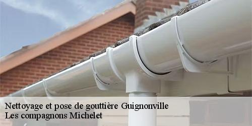 Nettoyage et pose de gouttière  guignonville-45480 Les compagnons Michelet