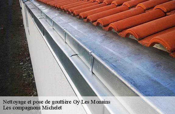 Nettoyage et pose de gouttière 45220