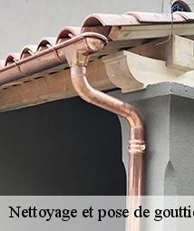 Nettoyage et pose de gouttière  juranville-45340 Les compagnons Michelet