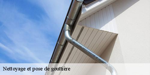 Nettoyage et pose de gouttière  juranville-45340 Les compagnons Michelet