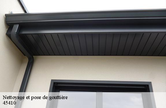 Nettoyage et pose de gouttière  45410