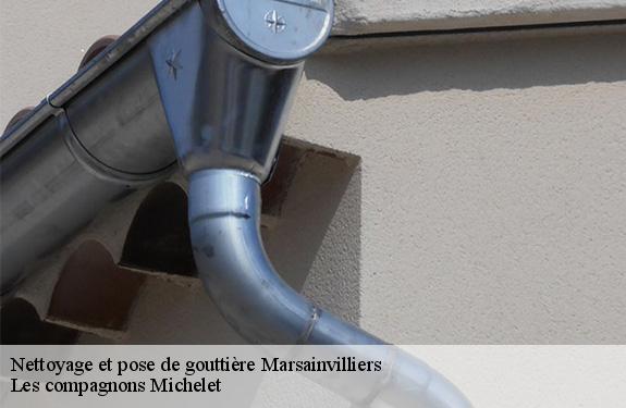 Nettoyage et pose de gouttière marsainvilliers-45300 Les compagnons Michelet
