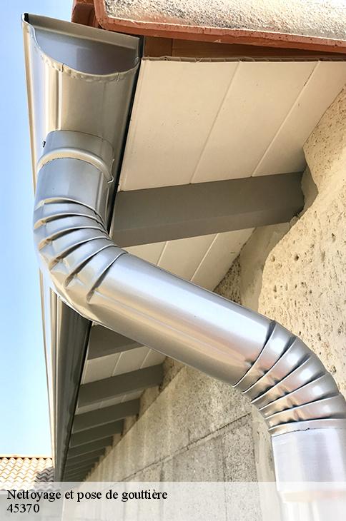 Nettoyage et pose de gouttière  mezieres-les-clery-45370 Les compagnons Michelet