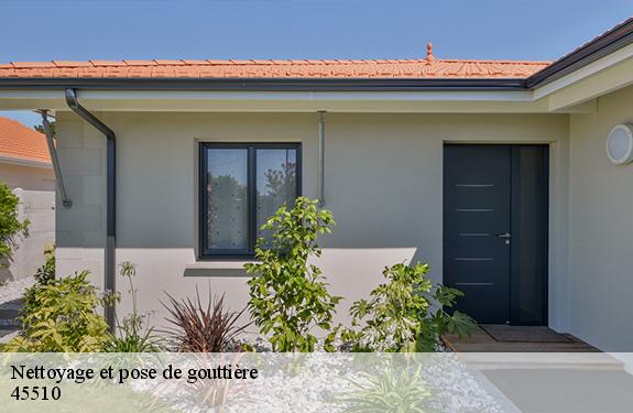Nettoyage et pose de gouttière  45510