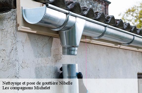 Nettoyage et pose de gouttière 45340