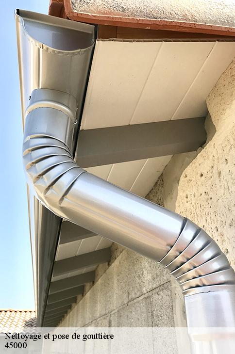 Nettoyage et pose de gouttière  orleans-45000 Les compagnons Michelet