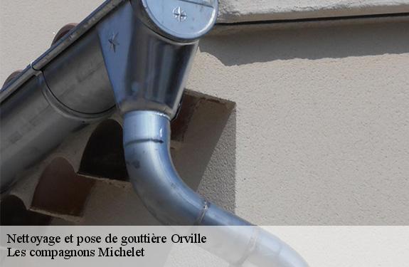 Nettoyage et pose de gouttière orville-45390 Les compagnons Michelet