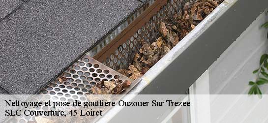 Nettoyage et pose de gouttière  45250