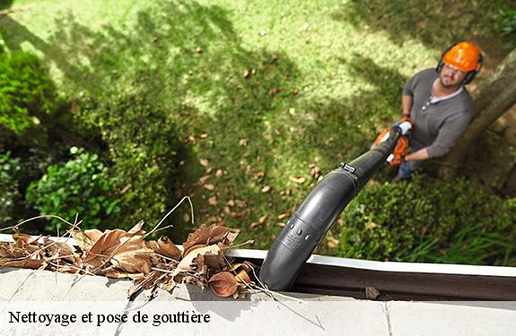 Nettoyage et pose de gouttière  45360