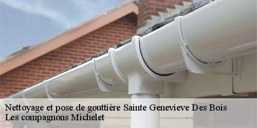 Nettoyage et pose de gouttière  sainte-genevieve-des-bois-45230 Les compagnons Michelet