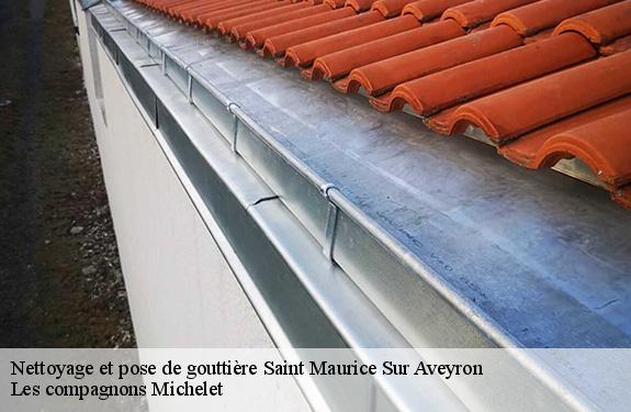 Nettoyage et pose de gouttière  45230