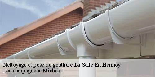 Nettoyage et pose de gouttière  la-selle-en-hermoy-45210 Les compagnons Michelet