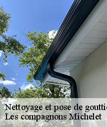 Nettoyage et pose de gouttière  sermaises-45300 Les compagnons Michelet