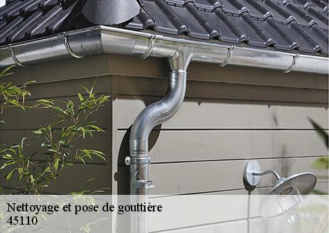 Nettoyage et pose de gouttière  sigloy-45110 Les compagnons Michelet