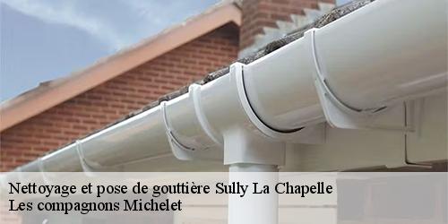 Nettoyage et pose de gouttière  sully-la-chapelle-45450 Les compagnons Michelet