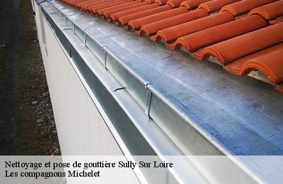 Nettoyage et pose de gouttière  45600