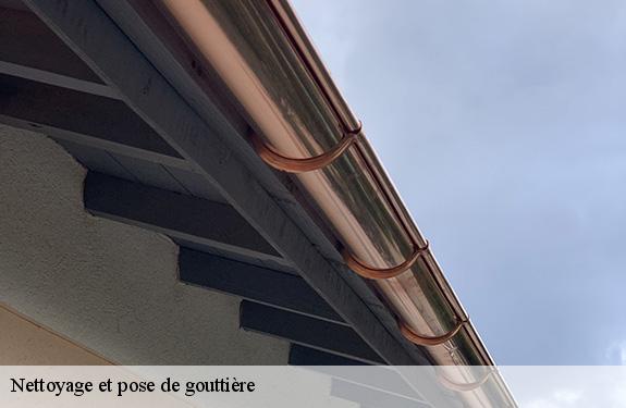 Nettoyage et pose de gouttière  45210