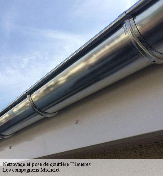 Nettoyage et pose de gouttière  trigueres-45220 Les compagnons Michelet