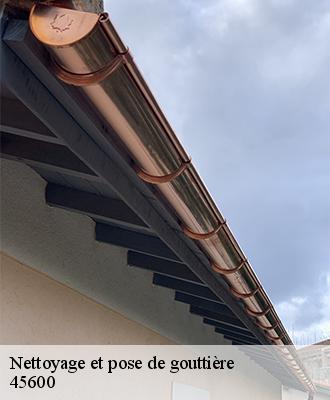 Nettoyage et pose de gouttière  viglain-45600 Les compagnons Michelet