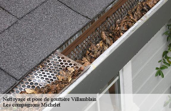 Nettoyage et pose de gouttière 45310