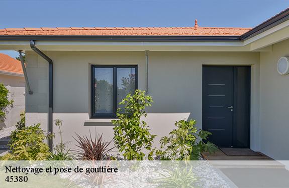 Nettoyage et pose de gouttière  45380
