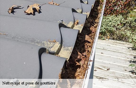 Nettoyage et pose de gouttière 45430