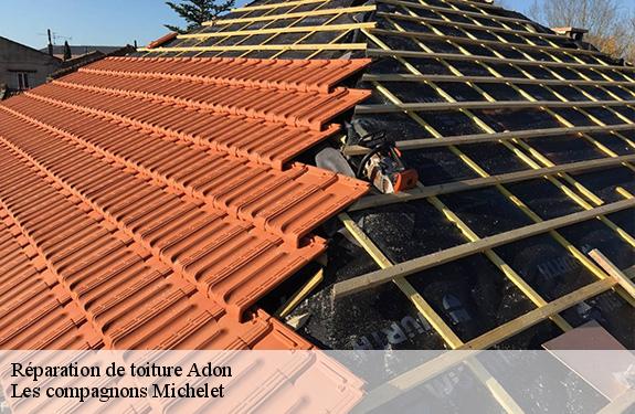 Réparation de toiture 45230