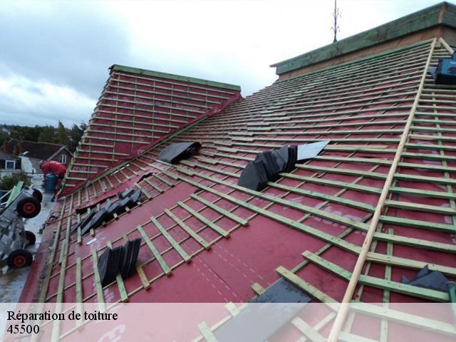 Réparation de toiture  45500