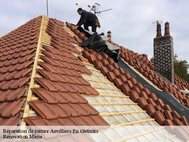 Réparation de toiture  auvilliers-en-gatinais-45270 Rénovation Marie