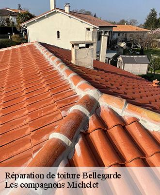 Réparation de toiture  bellegarde-45270 Les compagnons Michelet