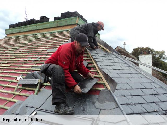 Réparation de toiture  45460