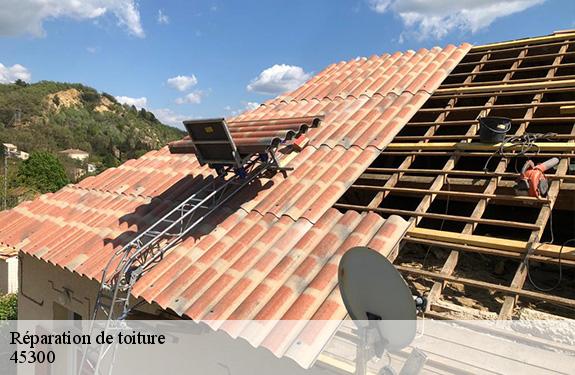 Réparation de toiture  45300