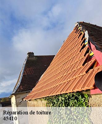 Réparation de toiture  bucy-le-roi-45410 Les compagnons Michelet